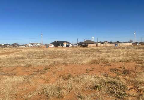 1308 S Flint Avenue, Wolfforth, TX 79382