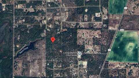 UNDEVELOPED, MORRISTON, FL 32668