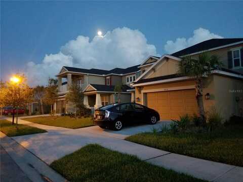 8836 CITRUS PALM DRIVE, TAMPA, FL 33626