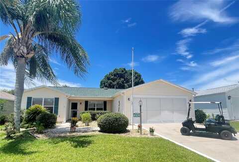 9581 SE 168TH ELDERBERRY PLACE, THE VILLAGES, FL 32162