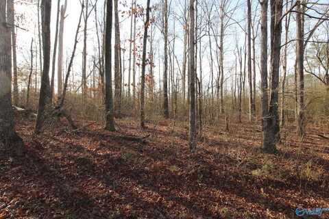 Tract A Bruce Road, Boaz, AL 35957