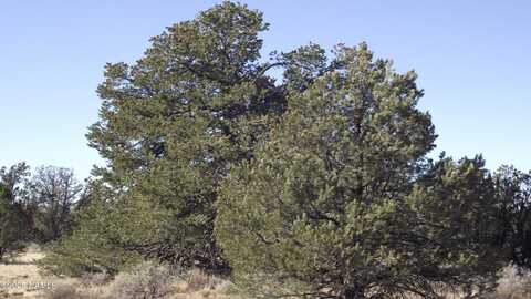 4313 Woodlands Ranch Road, Williams, AZ 86046