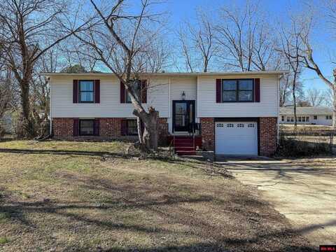 1116 SPRING BRANCH TERRACE, Mountain Home, AR 72653