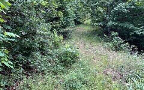 Trackrock Gap Road, Blairsville, GA 30512