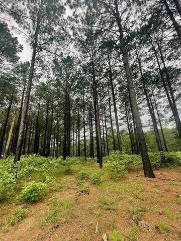75 Upper Vista Ridge Trail, Broken Bow, OK 74728