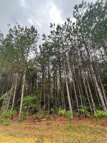 101 Heavenly Pine, Broken Bow, OK 74728