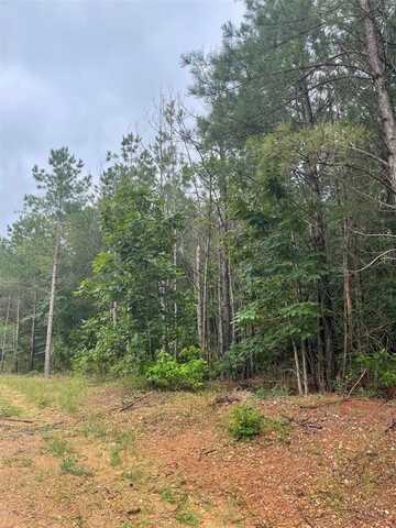99 Heavenly Pine, Broken Bow, OK 74728