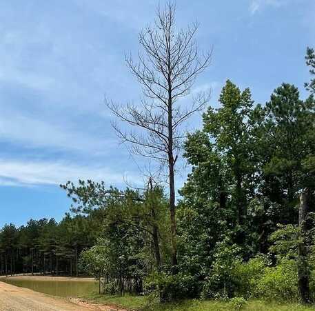 69 Pine Crest, Broken Bow, OK 74728