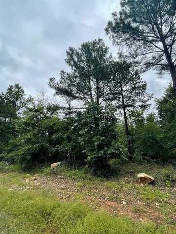77 Cedar Hills Trail, Broken Bow, OK 74728
