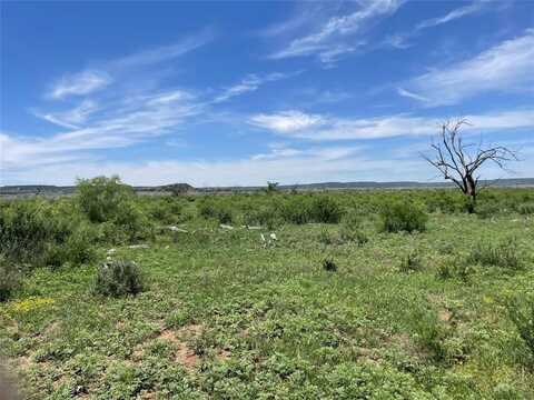 Tbd 100 acres CR 343, Merkel, TX 79536