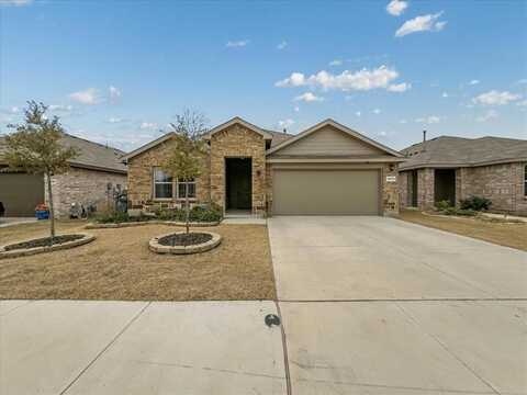 16533 White Fish Lane, Justin, TX 76247