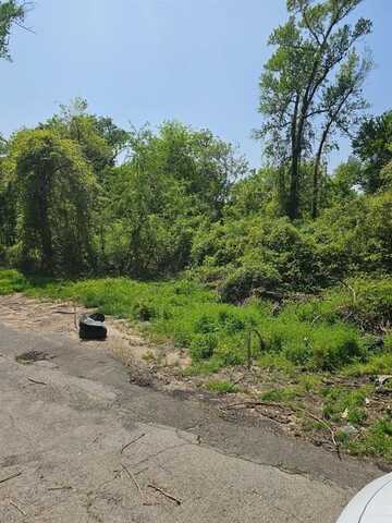 233 Mike Avenue, Tyler, TX 75702