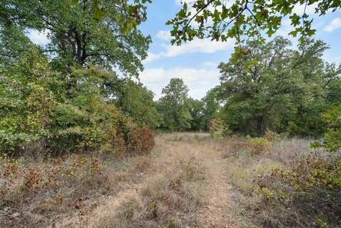 Lot 9 Double B Road S, Perrin, TX 76486