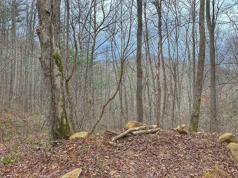 0 Elk Shoals Creek Rd., Burnsville, NC 28714