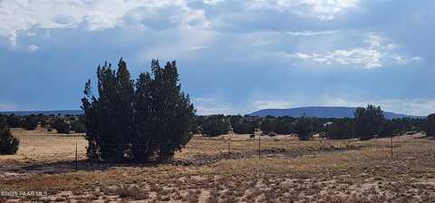 45600-e N Jacqueline Hill Drive, Ash Fork, AZ 86320