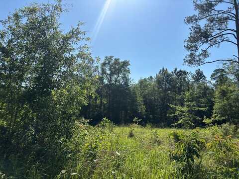NHN Robert Rhodes Rd, Poplarville, MS 39470