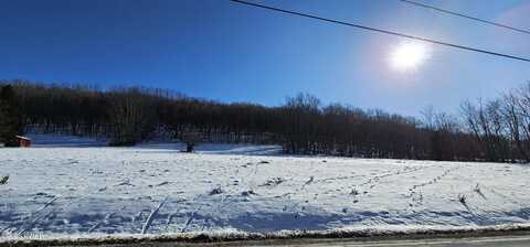 Lot 7.4 Hankins Road, Fremont Center, NY, NY 12736