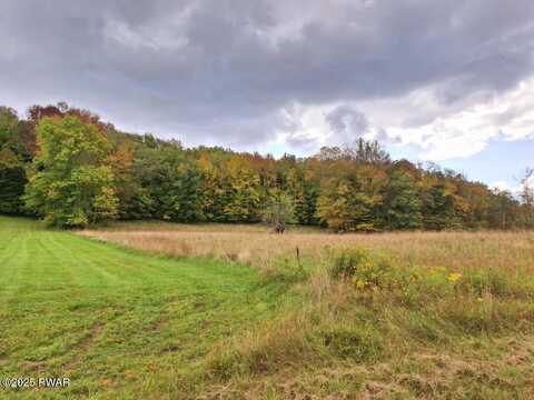 Lot 7.4 Hankins Road, Fremont Center, NY, NY 12736