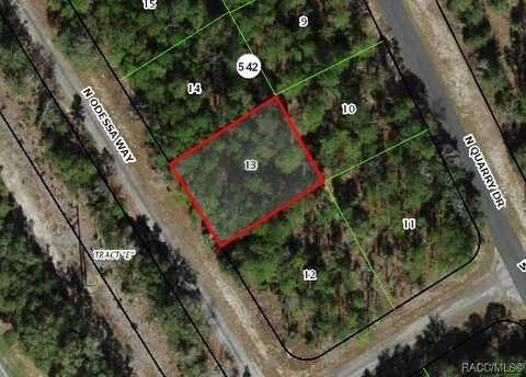 9825 N Odessa Way, Citrus Springs, FL 34434