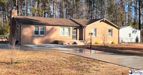 132 Meadowview Rd, Marion, SC 29571