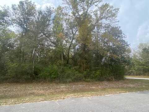 Lot 7 Seven Springs Dr, Wewahitchka, FL 32465