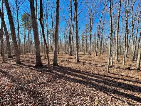 0 40.4 Acres County Road 5650, Bunker, MO 63629