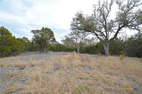 Lot 5 FM 2942 Street, Lometa, TX 76853