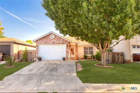 6879 Canary Meadow Drive, Converse, TX 78109