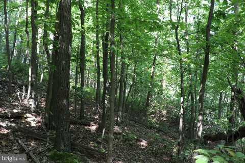 LOT 320 RIDGE RUN, CLAYSBURG, PA 16625