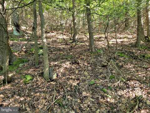 LOT 89 RIDGE RUN, CLAYSBURG, PA 16625