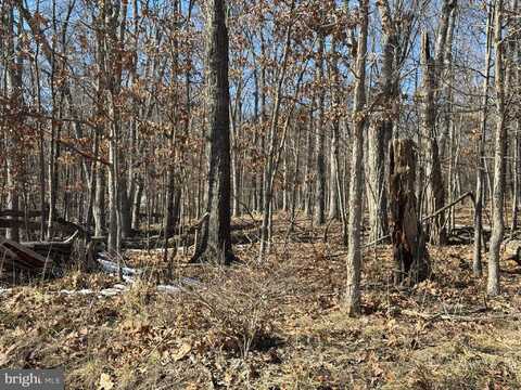 Lot 13 SAWMILL DRIVE, GORE, VA 22637