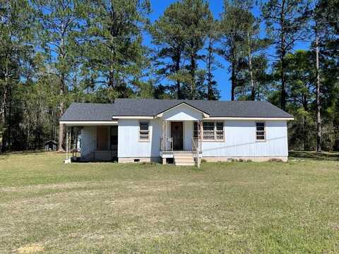 6689 McRae Highway, Helena, GA 31037