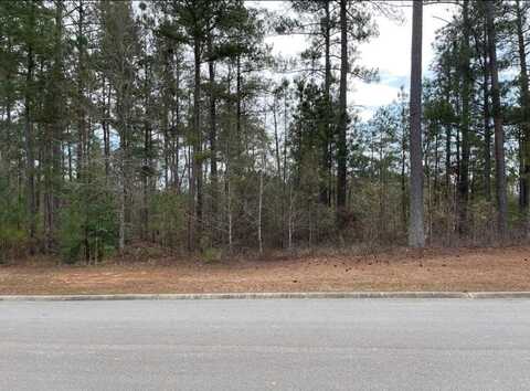 N-53 Eutaw Springs Trail, North Augusta, SC 29860