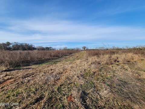 0 Gainer Cemetary Road, Graceville, FL 32440