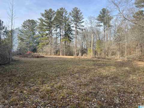 0 CAMP CREEK ROAD, CROPWELL, AL 35054