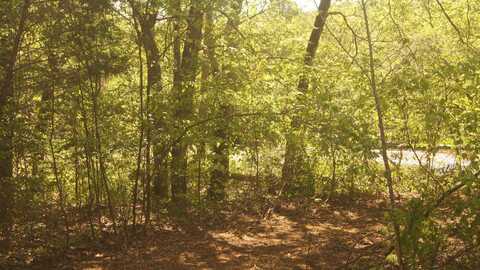 Lot 2 Booth Creek Road, Williford, AR 72482