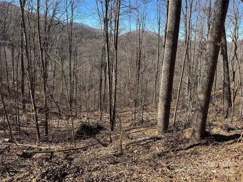 Lot 25 Andrew Banks Road, Burnsville, NC 28714
