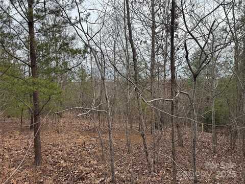 Stonecrest Parkway, Mill Spring, NC 28756