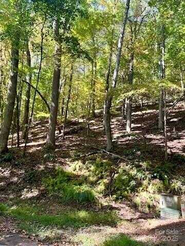 Tbd Hickory Vista Lane, Mills River, NC 28759