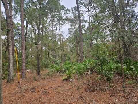 59th Pl, Chiefland, FL 32626