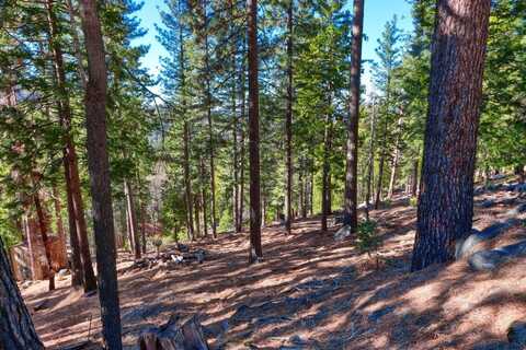 7349 Yosemite Park Way, Wiest, CA 95389