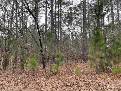 30300 West Lake Drive, Wagram, NC 28396