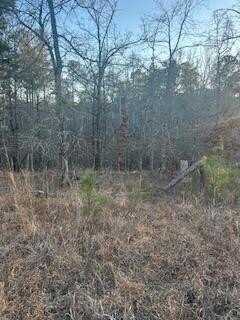 00 River Ridge Trail, Sparta, GA 31087