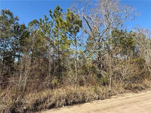 0 (lot 2) Elmer Thrift Road, Waycross, GA 31503