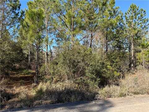 0 (lot 1) Elmer Thrift Road, Waycross, GA 31503