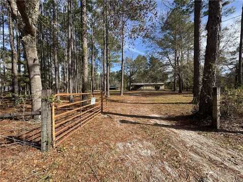 264 Ware Forest Drive, White Oak, GA 31568