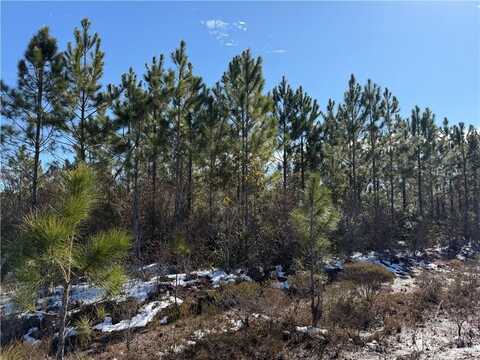 0 (lot 12) Elmer Thrift Road, Waycross, GA 31503