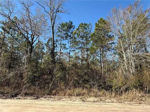 0 (lot 3) Elmer Thrift Road, Waycross, GA 31503