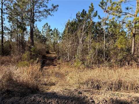 0 (lot 6) Elmer Thrift Road, Waycross, GA 31503