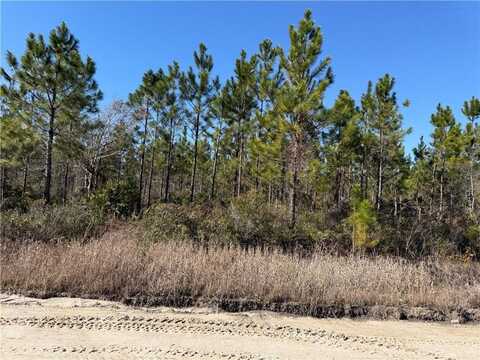 0 (lot 11) Elmer Thrift Road, Waycross, GA 31503